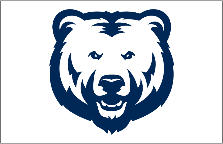 Northern Colorado Bears 2016-2017 Helmet Logo diy DTF decal sticker